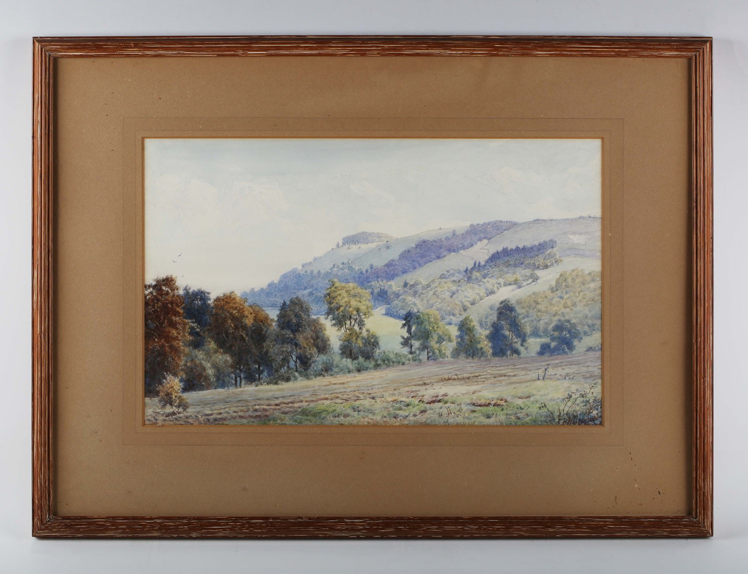 LOT 184