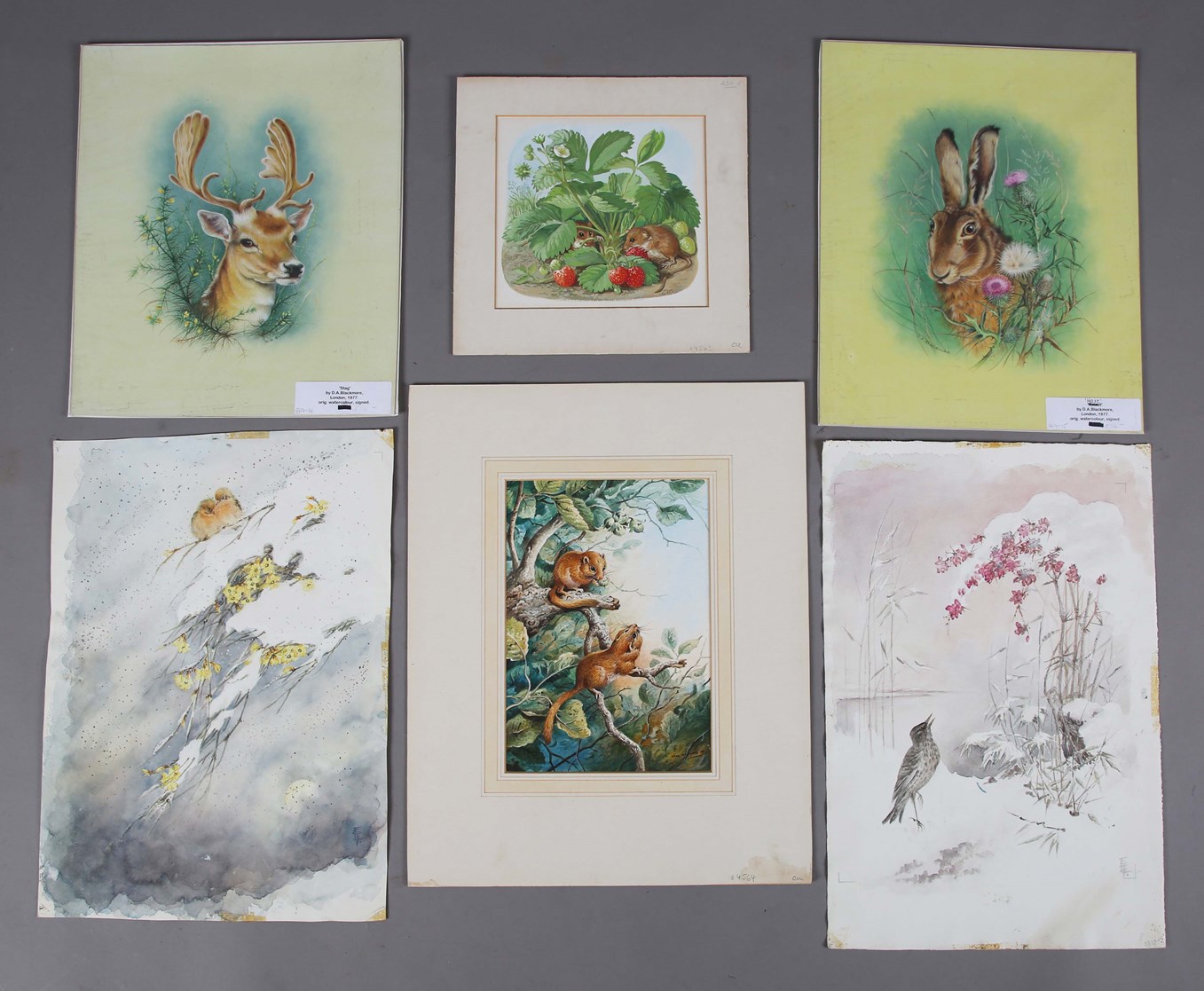 LOT 273