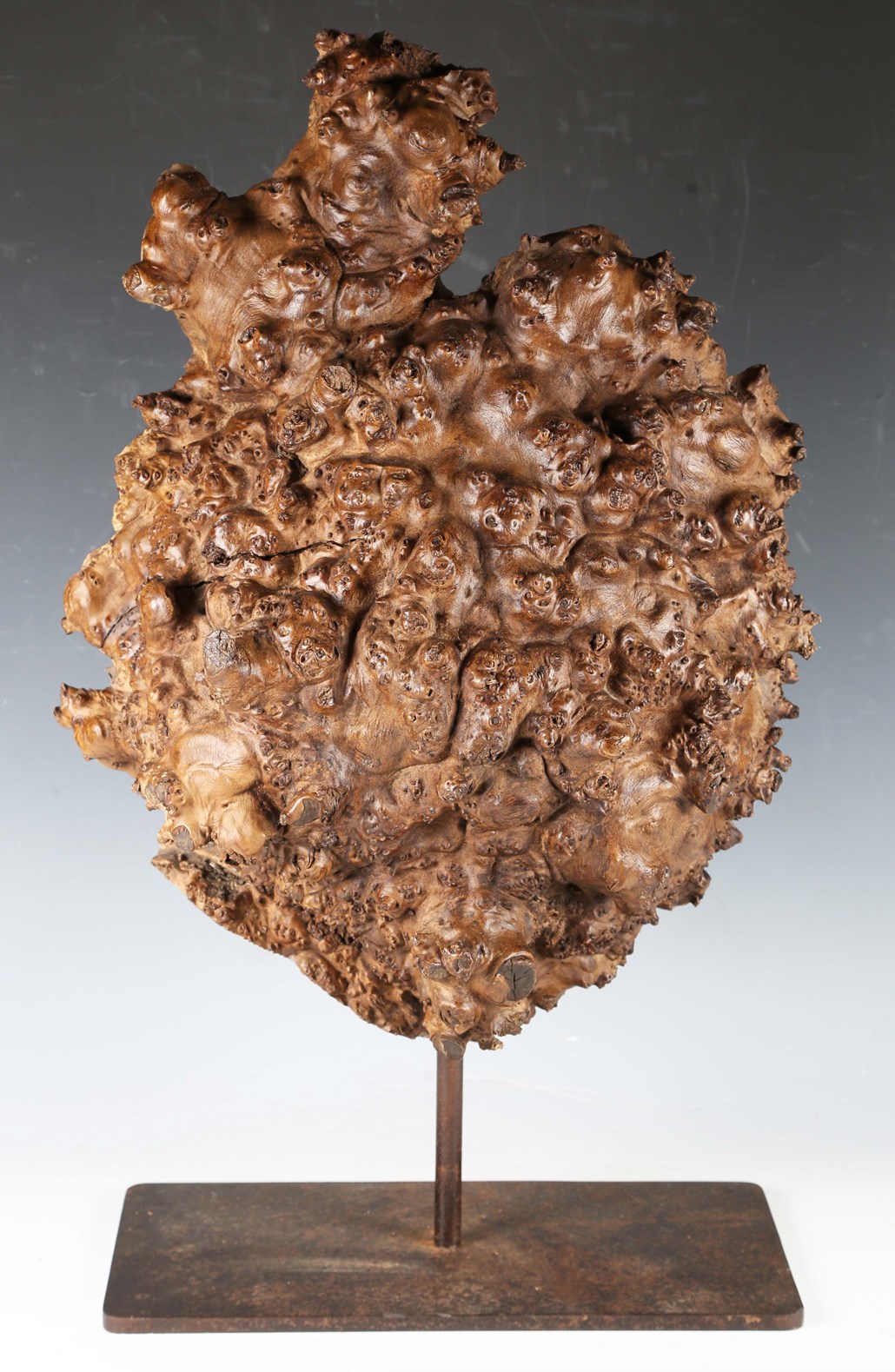 LOT 2590