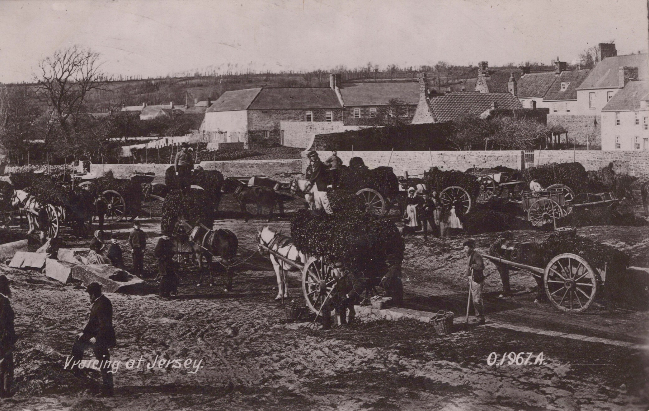 LOT 3226