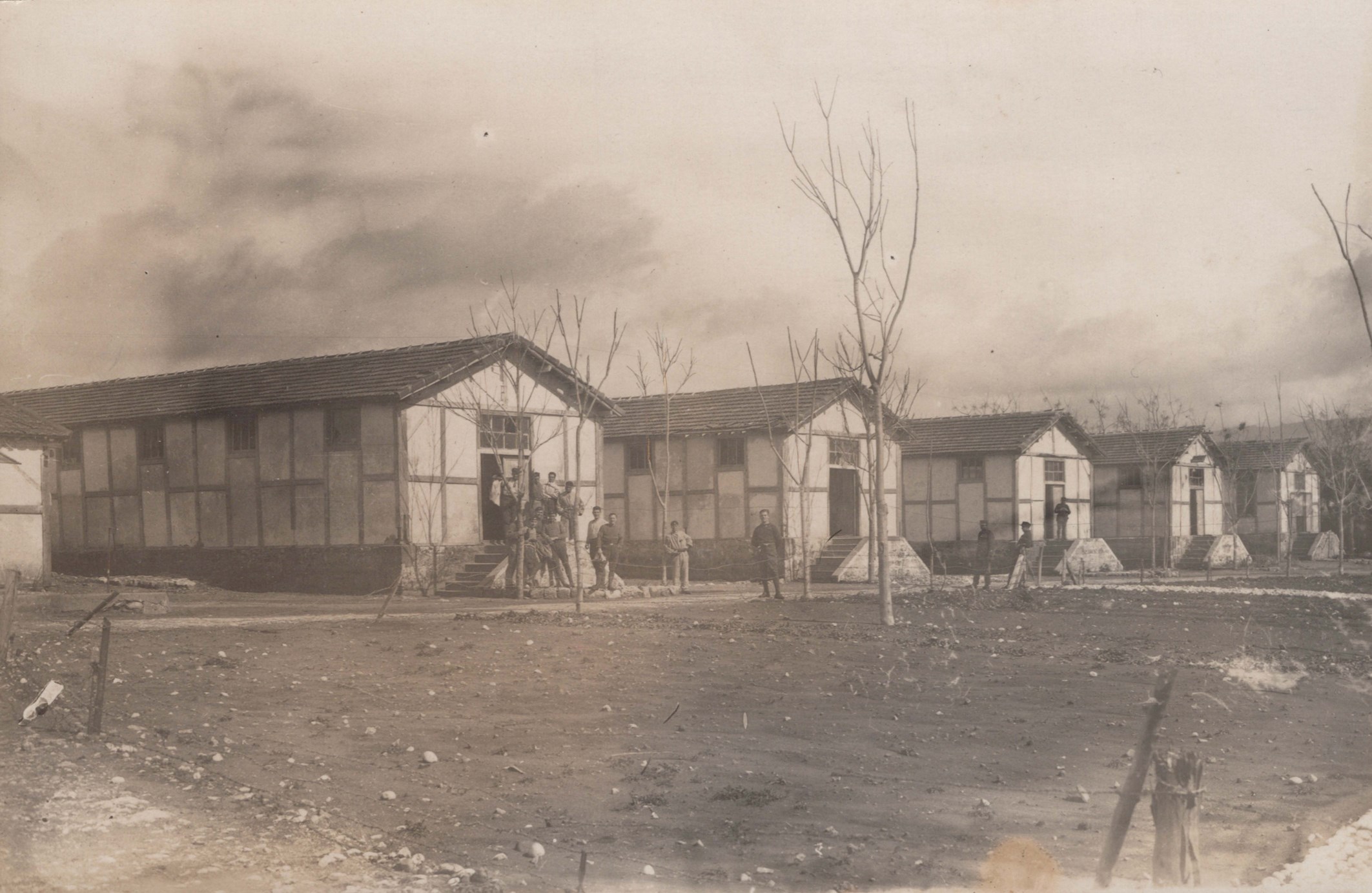 LOT 3229